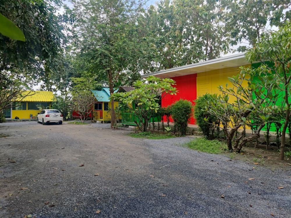 ทานตะวัน โชคมงคล